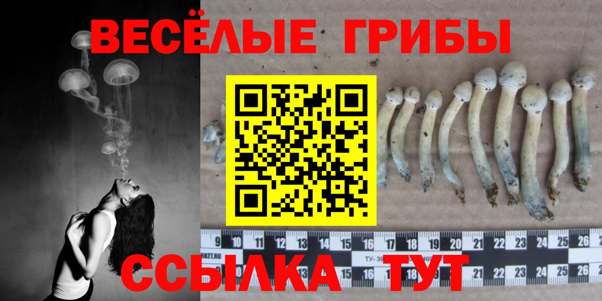Янаул  закладка  Галлюциногенные грибы GOLDEN TEACHER  Вход с VPN  Галлюциногенные грибы MAGIC MUSHROOMS 
