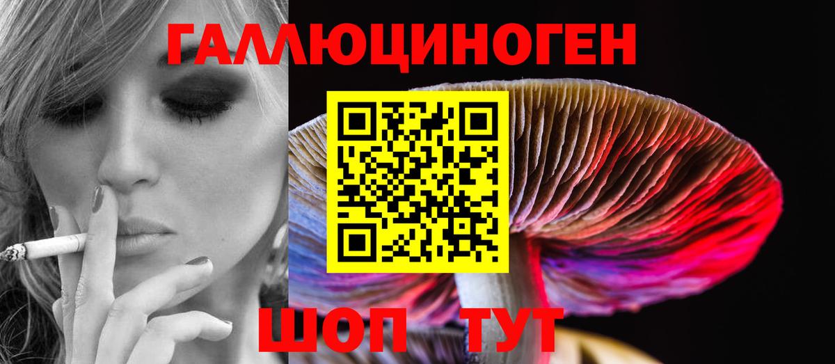 Галлюциногенные грибы Cubensis Янаул